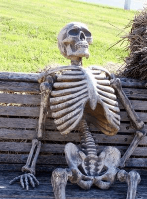 Skelton waiting on bench