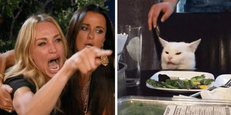 Chick yelling at cat