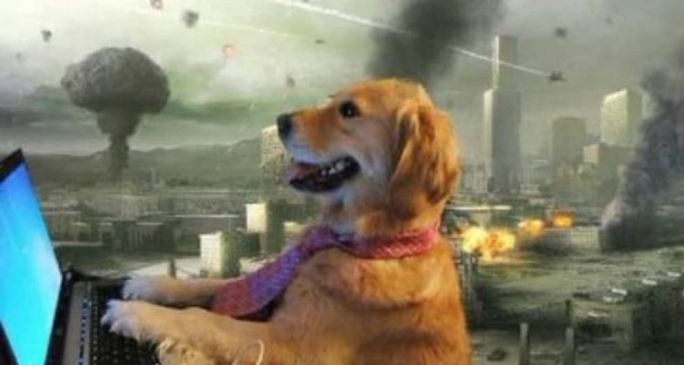 Good boy employee