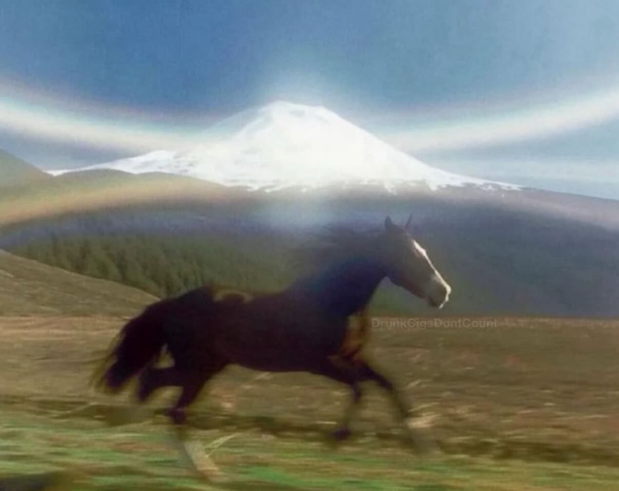 Majestic horse