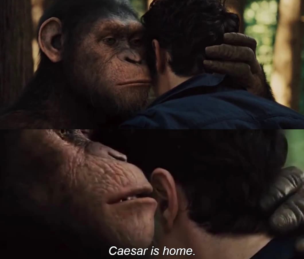 Cesar is home