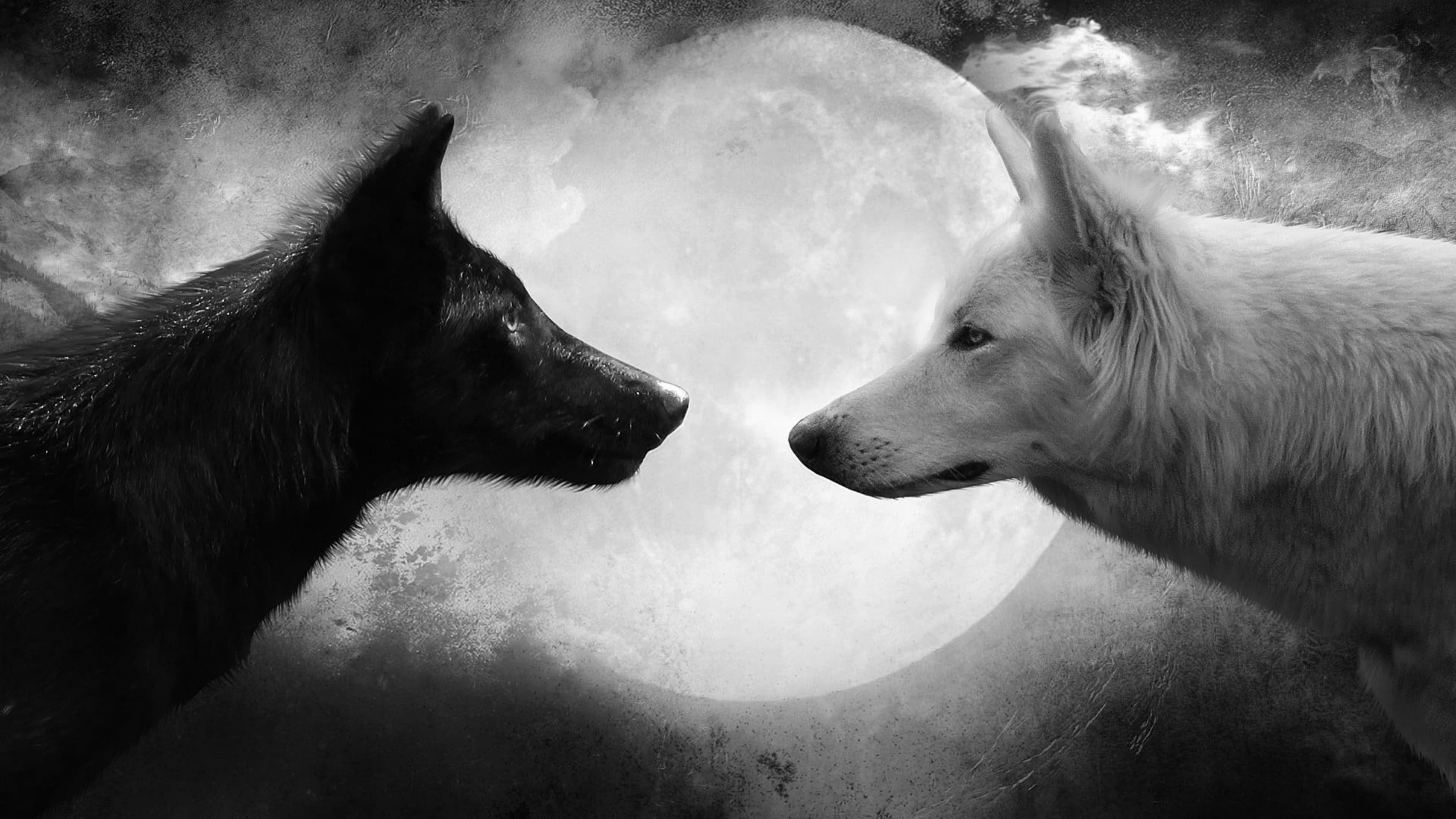 Two wolves inside you
