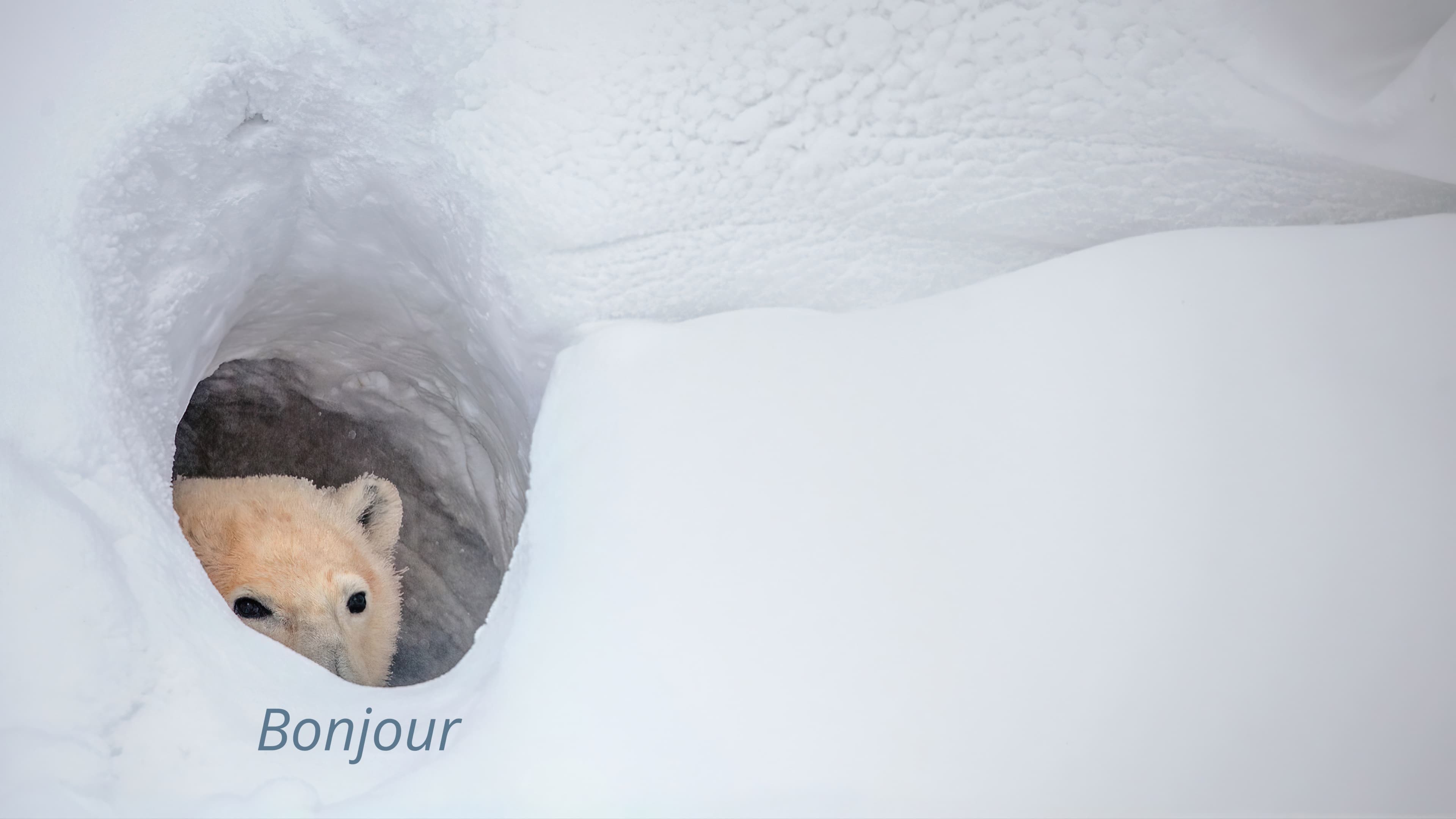Bonjour template