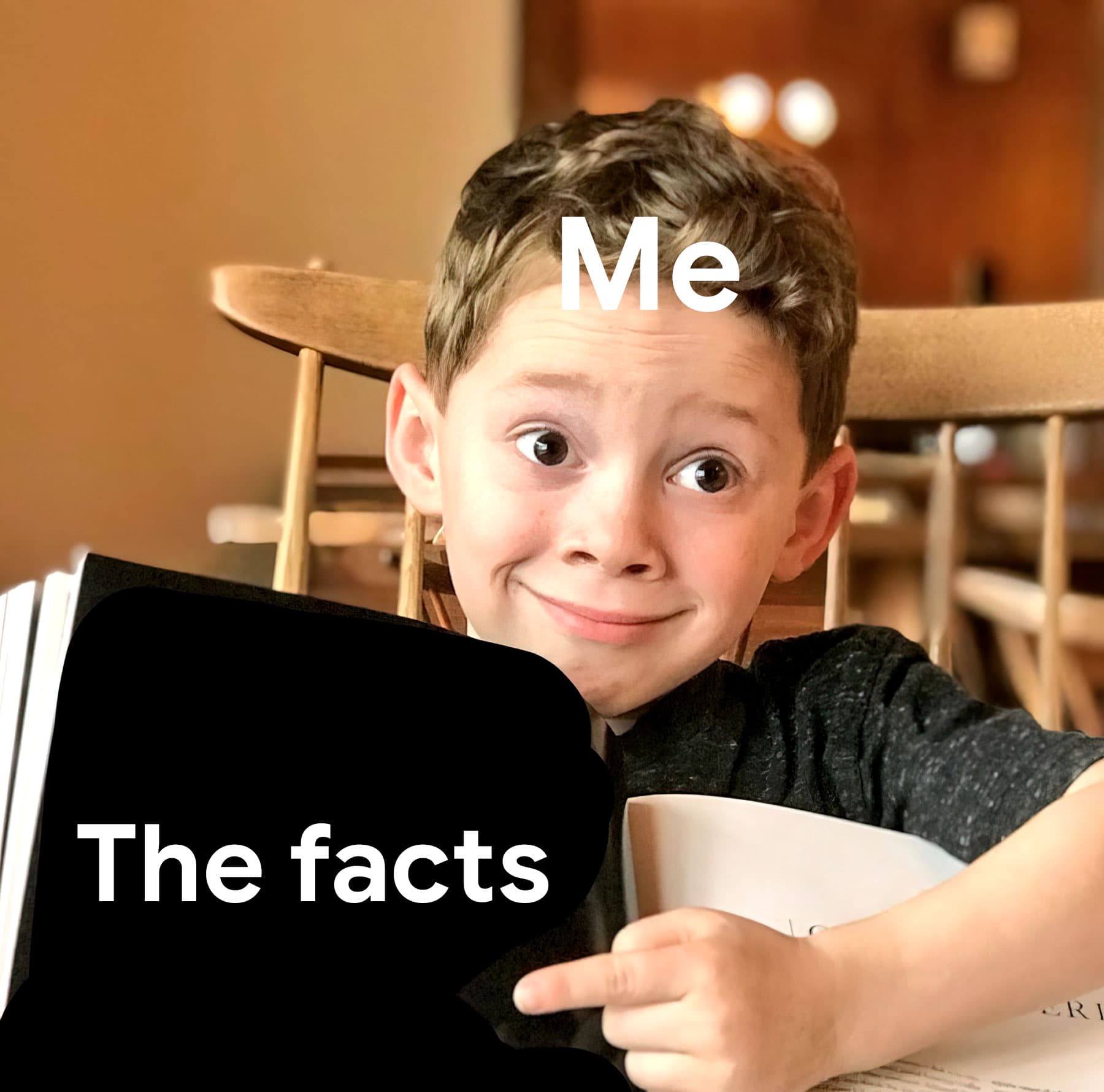 Boy pointing at book