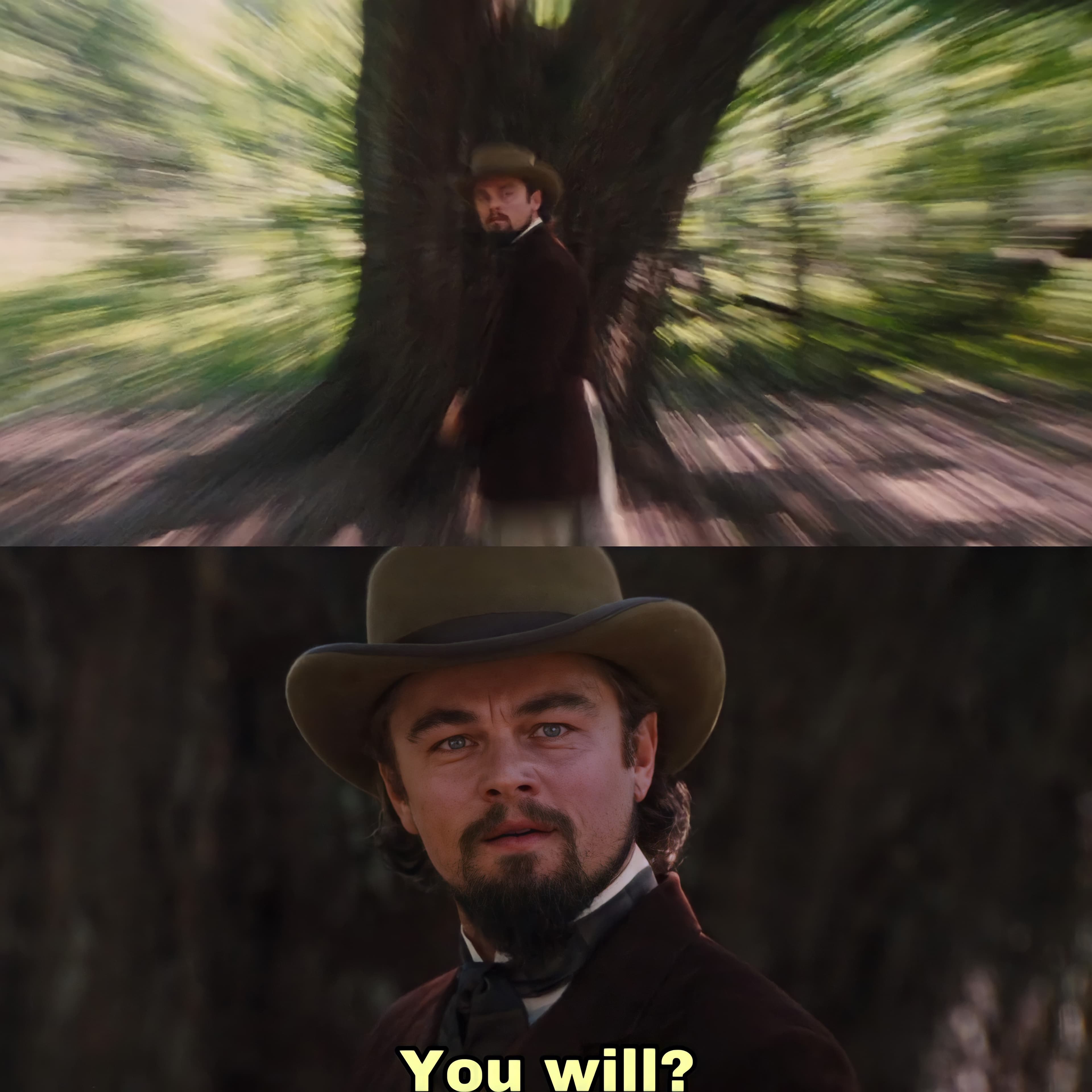 Leonardo DiCaprio you will