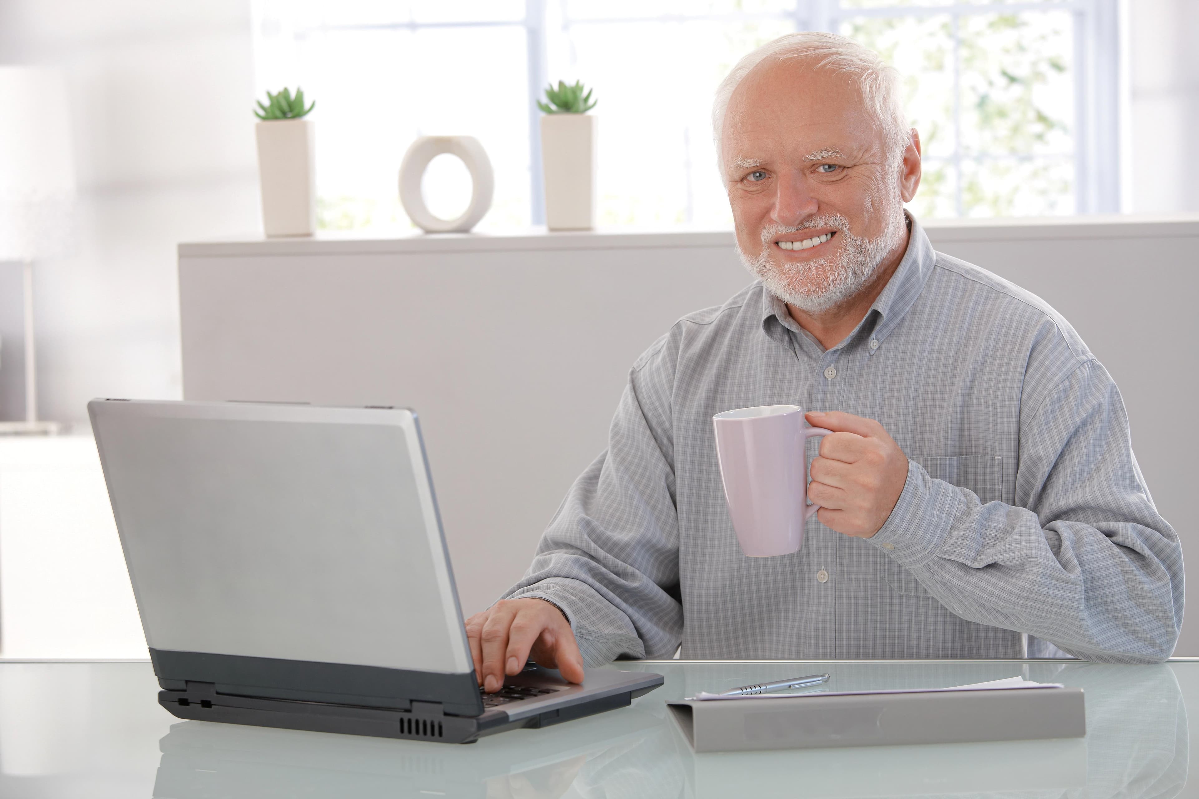 Hide the pain harold