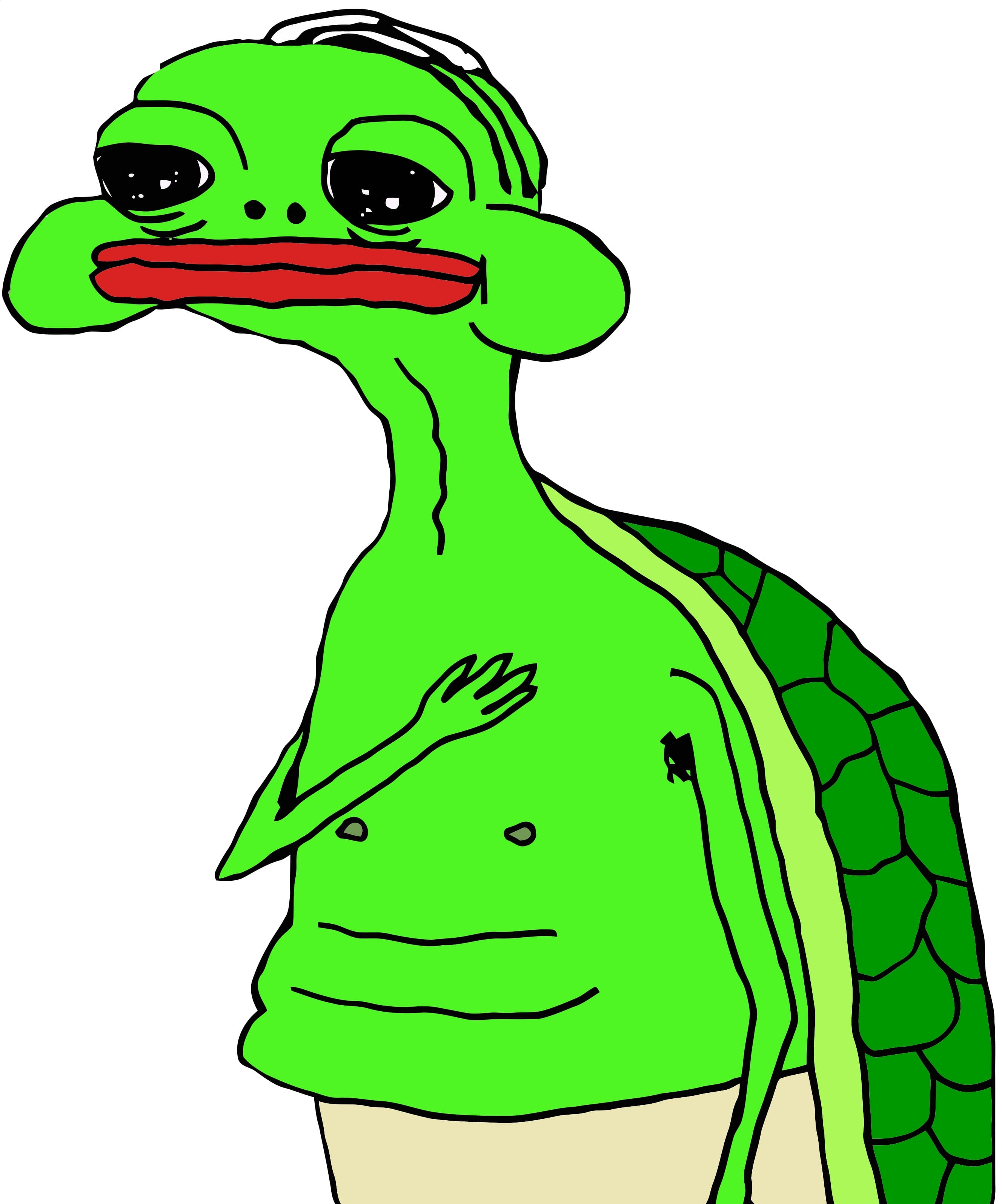 Pepe turtle my heart