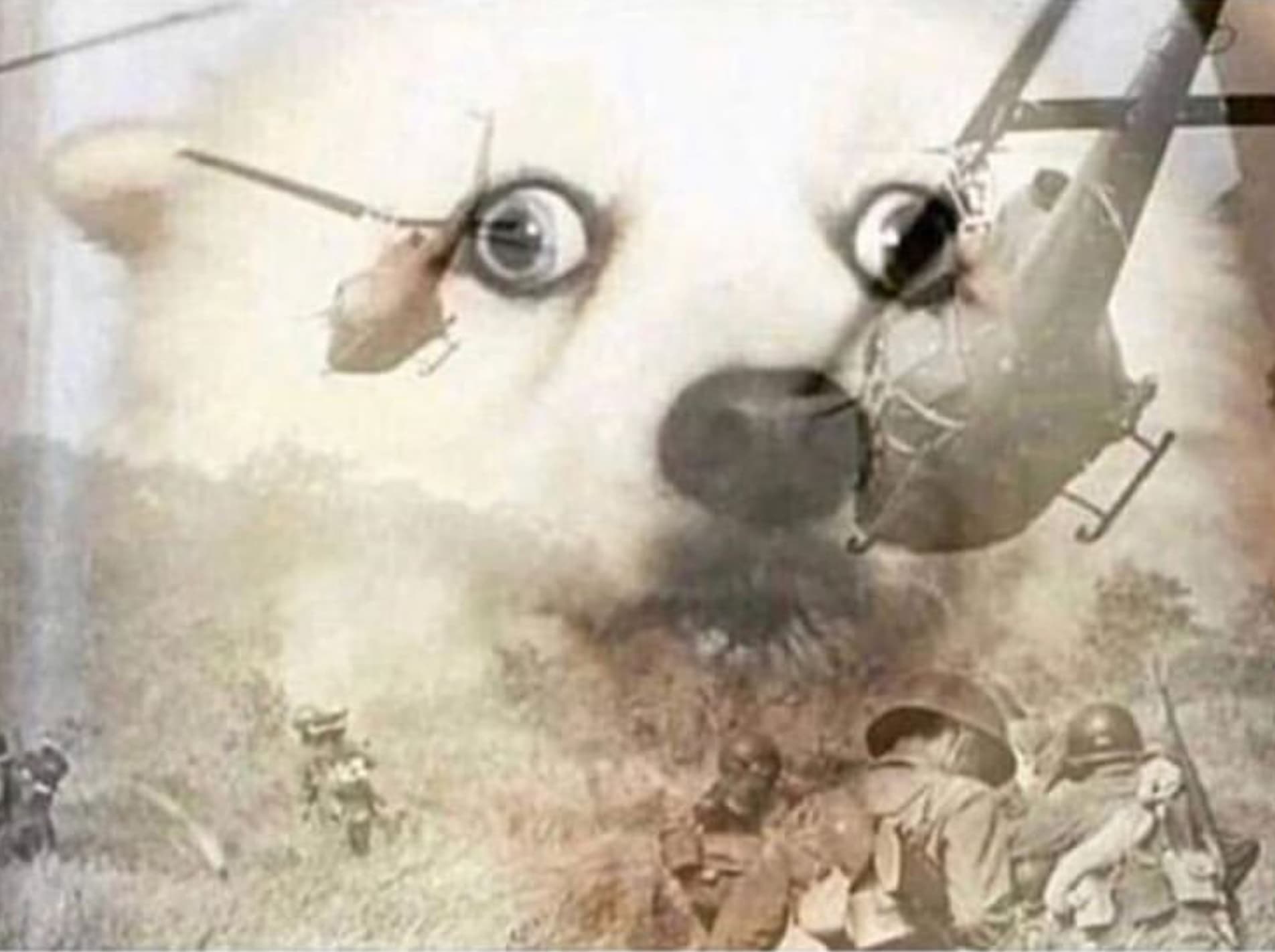 PTSD dog flashback
