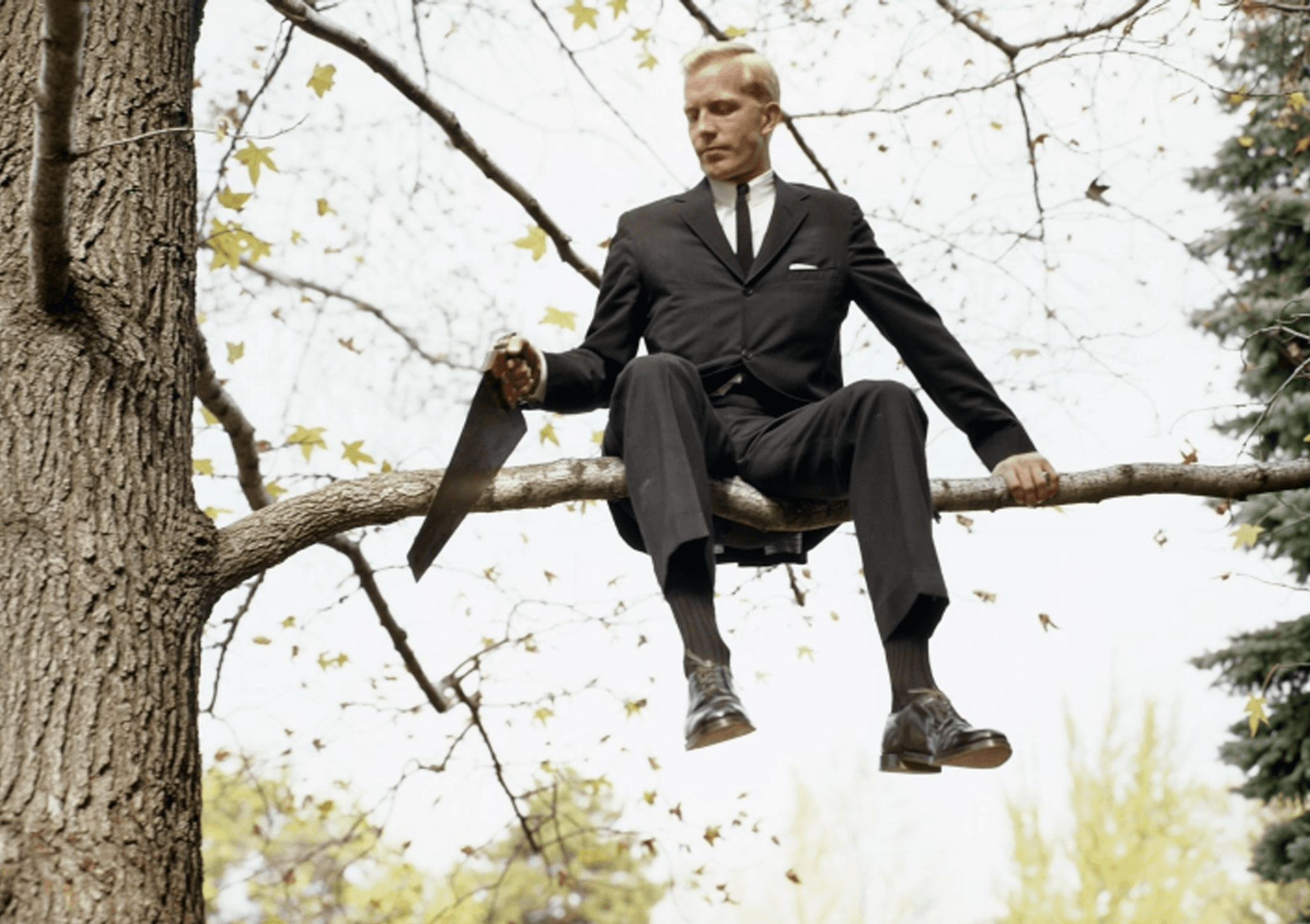 Man sawing branch sitting on
