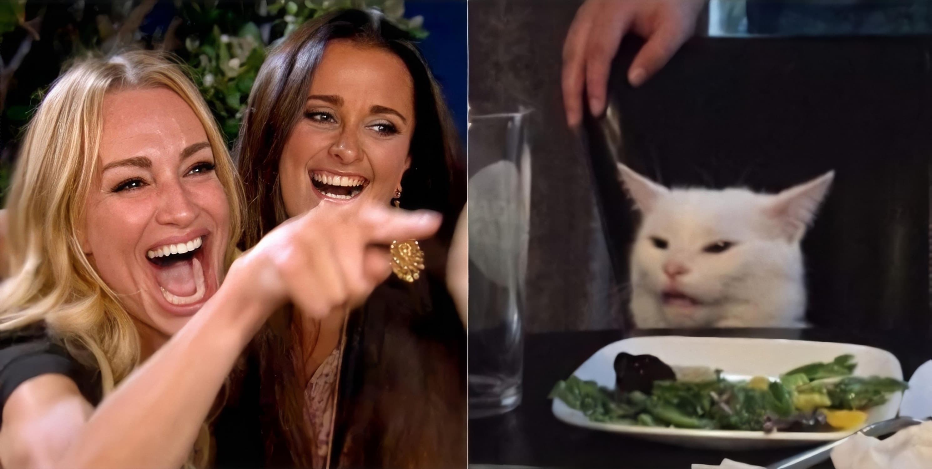 Woman yelling at cat