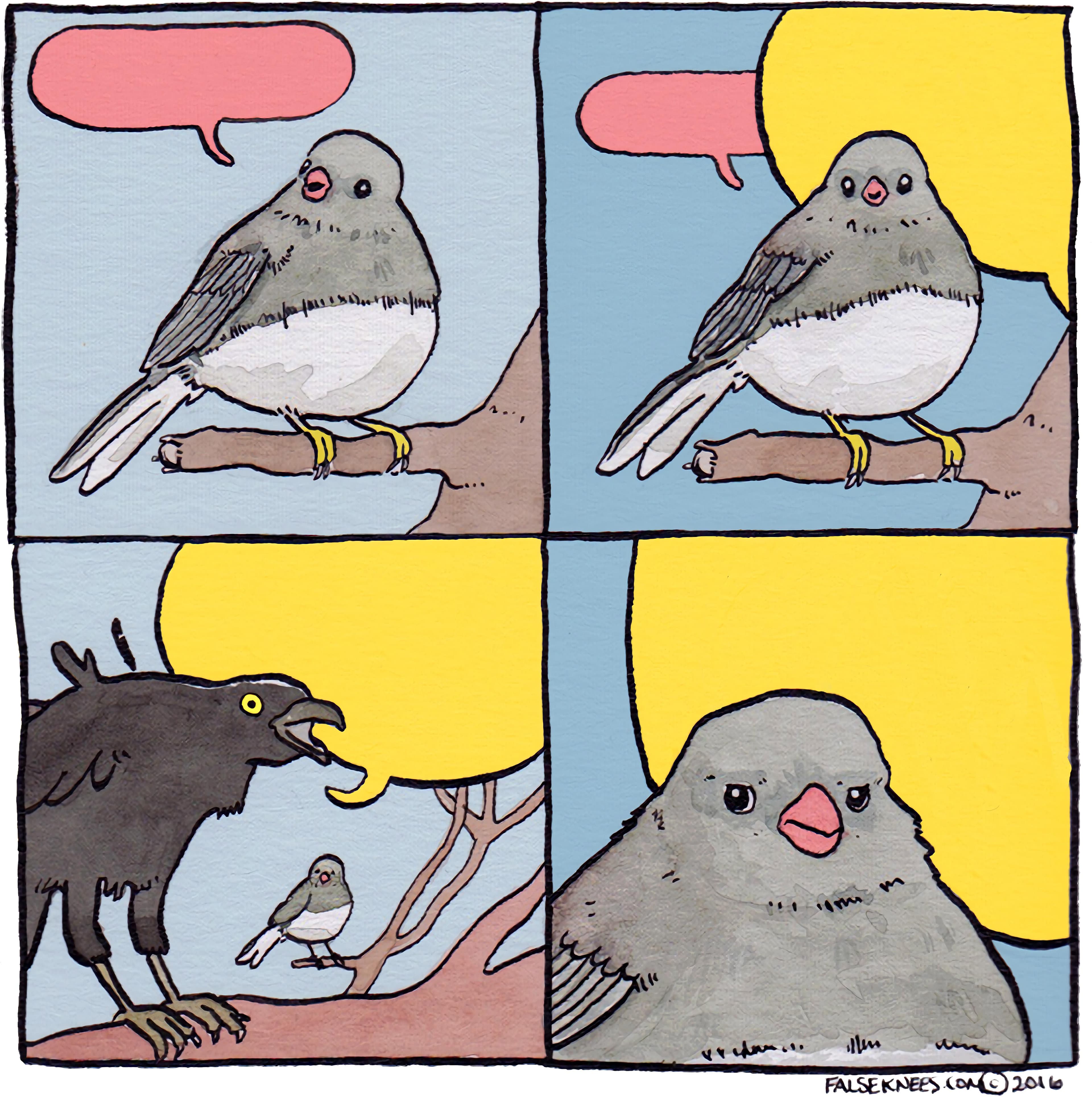 Bird yelling at bird